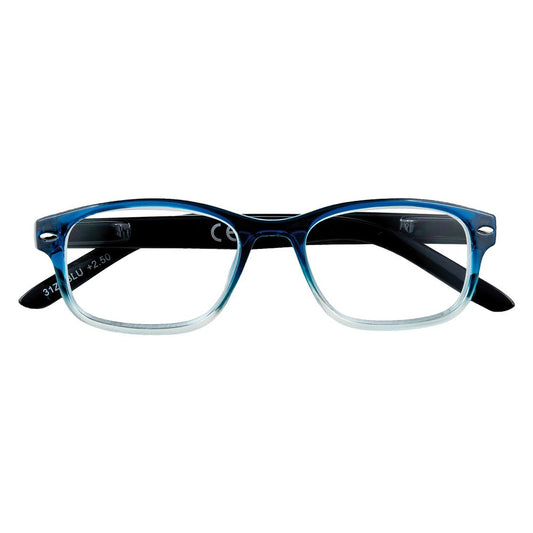 OCCHIALI PER LETTURA 'B1-BLU' + 2,50