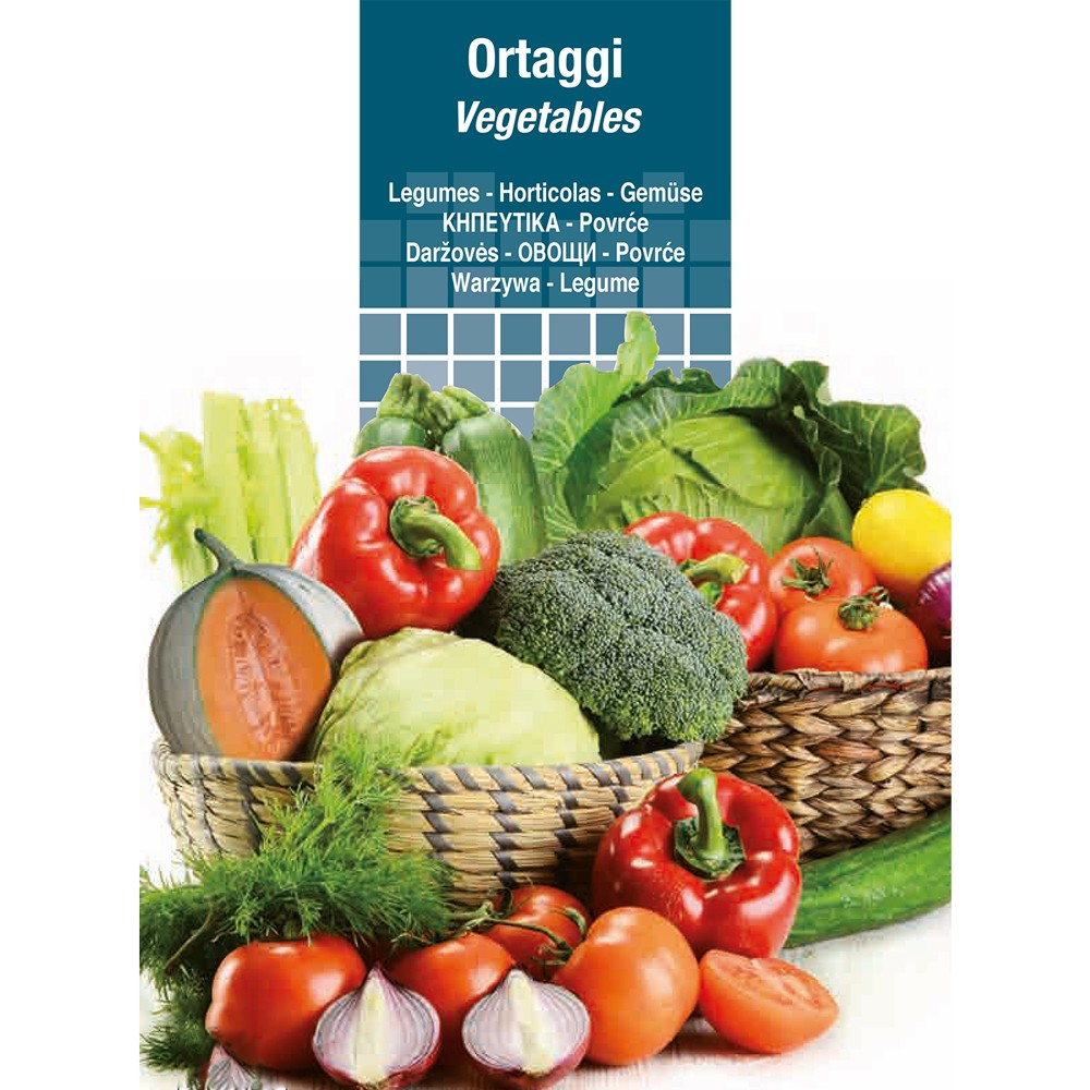 SEMI PER ORTAGGI E VEGETALI lattuga salad bowl