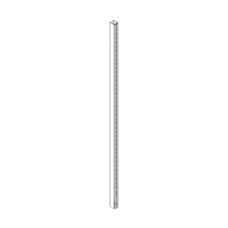 ZAF PIANTANA P/PARETE 9XH252CM PANNA