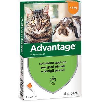 ANTIPARASSITARIO ADVANTAGE GATTI BAYER