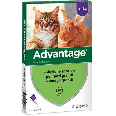 ANTIPARASSITARIO ADVANTAGE GATTI BAYER