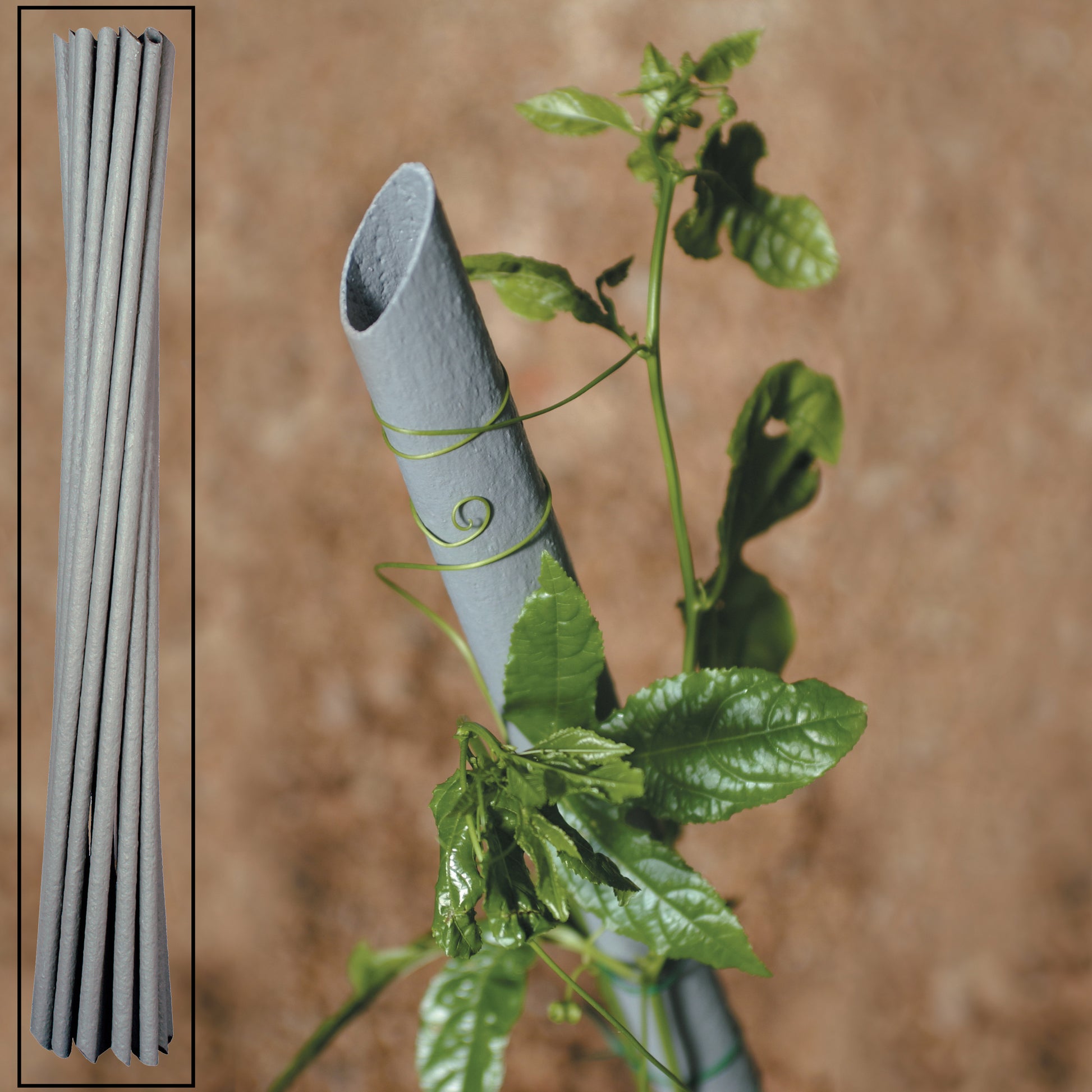 TUTORE PVC X PIANTE-VIGNA D.23X150H