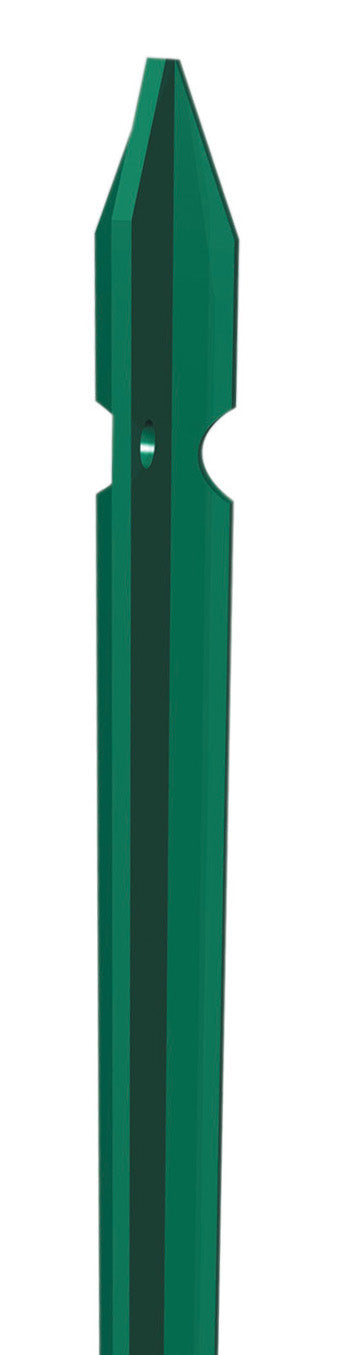 PALETTO PLASTIFICATO CM. 100 T30X3,0 KG.1,25