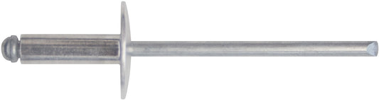 CONF.RIVETTI AL.T.LARGA 4,8X20 DA PZ. 50