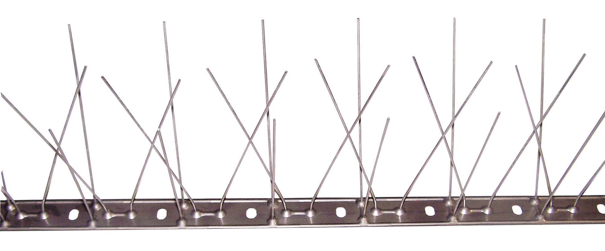 DISSUASORE X VOLATILI CM.100-80 SPILLI