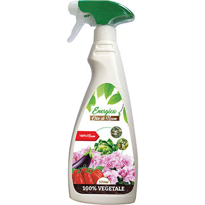 INSETTICIDA LIQUIDO OLIO DI NEEM SPRAY ENERGICA