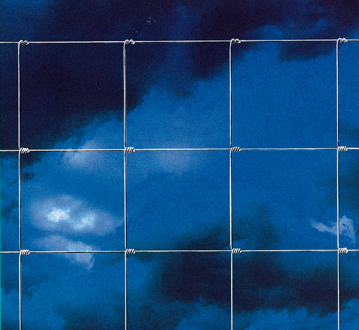 RETE PER PECORE 100X8X15 (ML. 50)