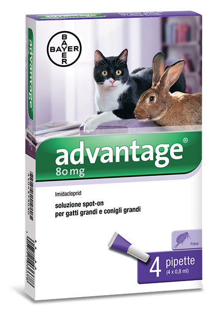 BAYER ADVANTAGE SPOT ON 80 GATTI OLTRE KG.4