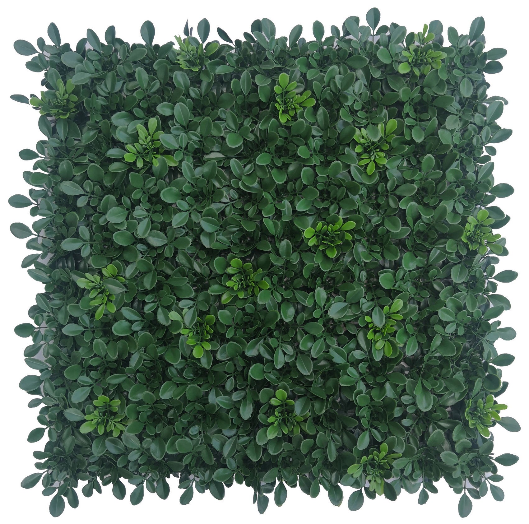 SIEPE ARTIFICIALE CM 100X100 MOD. PLANT 