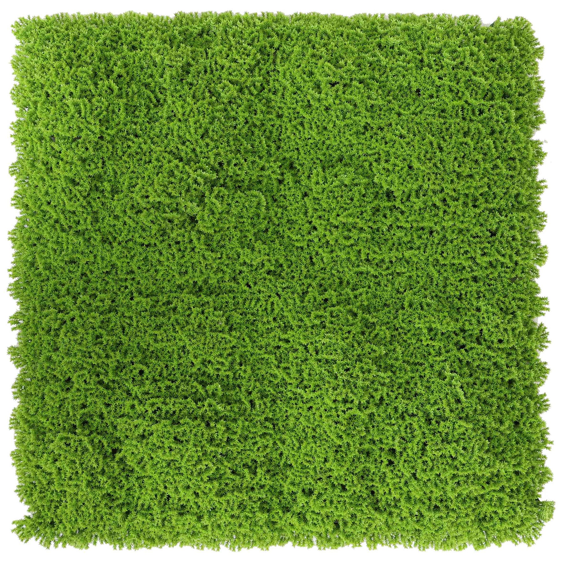 SIEPE ARTIFICIALE CM 100X100 MOD. GREEN 