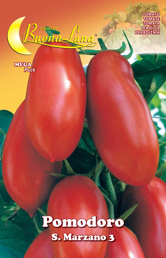 SEMI ORTO POMODORO S. MARZANO