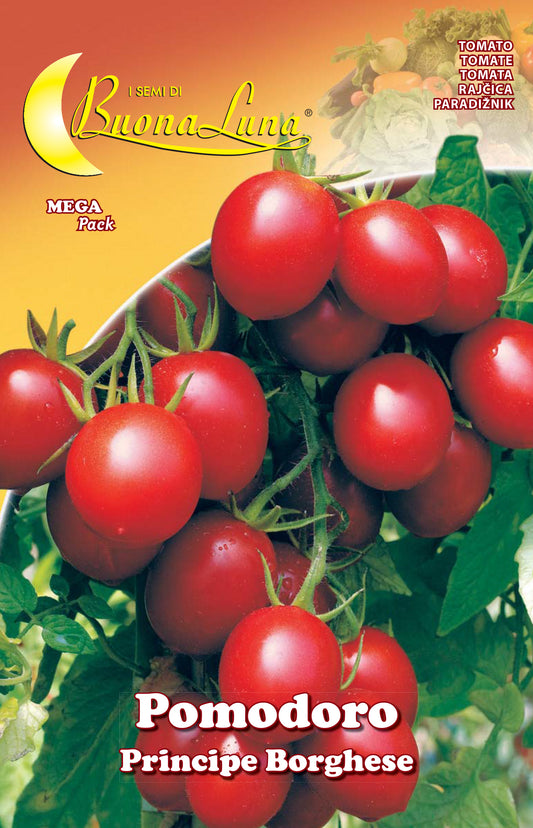 SEMI ORTO POMODORO CILIEGINO
