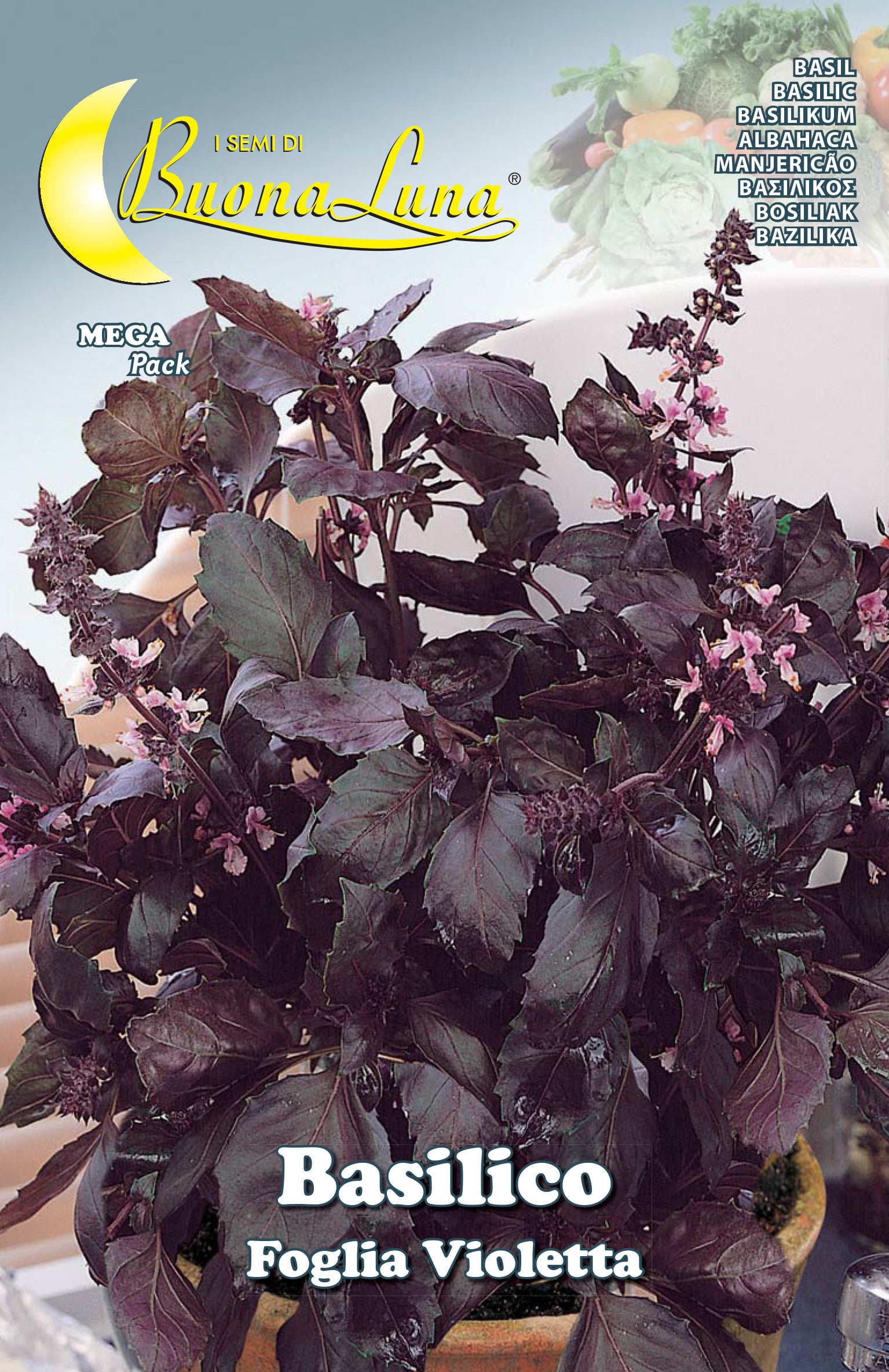 SEMI ORTO BASILICO FOGLIA VIOLETTA