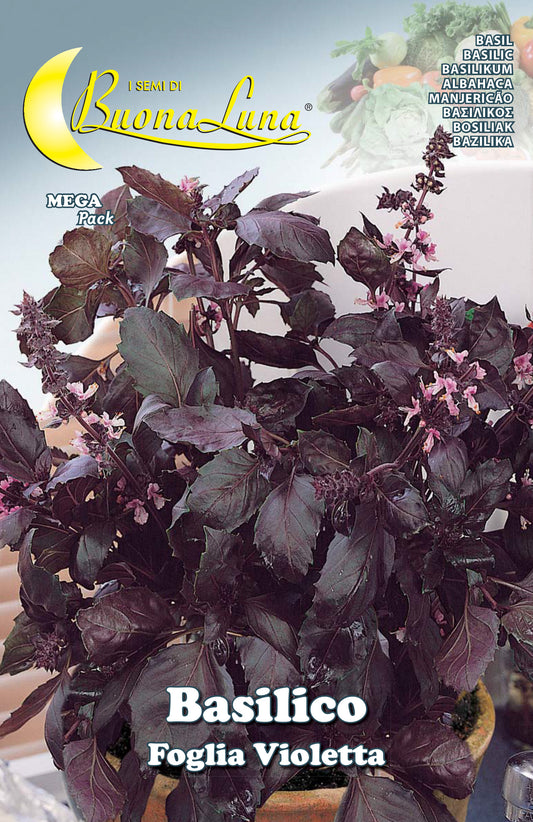 SEMI ORTO BASILICO FOGLIA VIOLETTA
