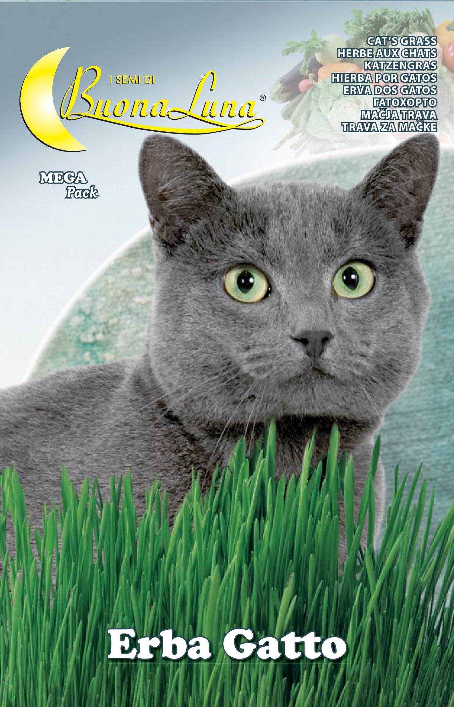 SEMI ORTO ERBA GATTO
