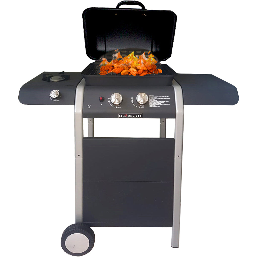 BARBECUE A GAS KE601