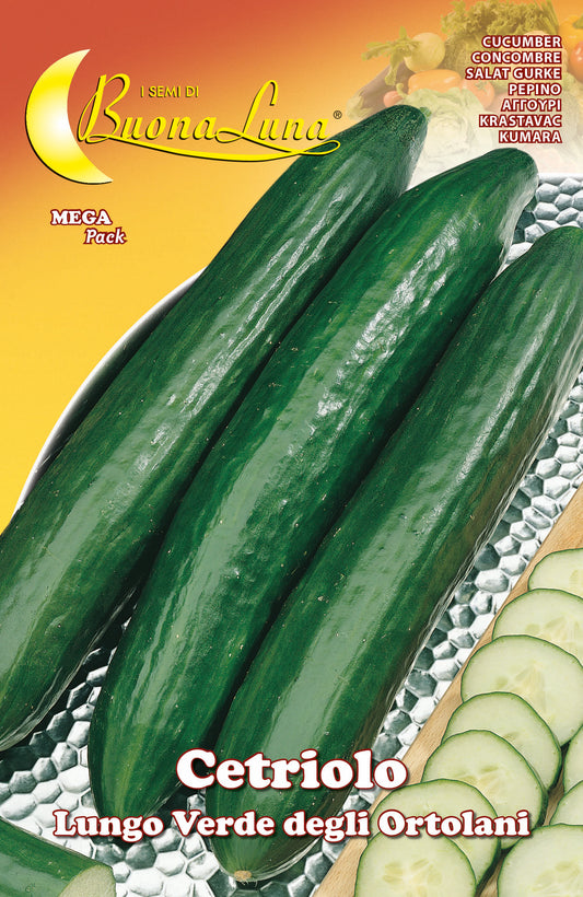 SEMI ORTO CETRIOLO VERDE