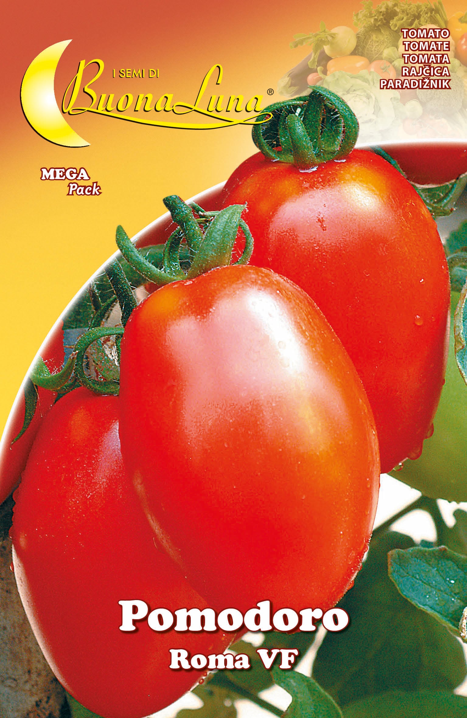 SEMI ORTO POMODORO ROMA