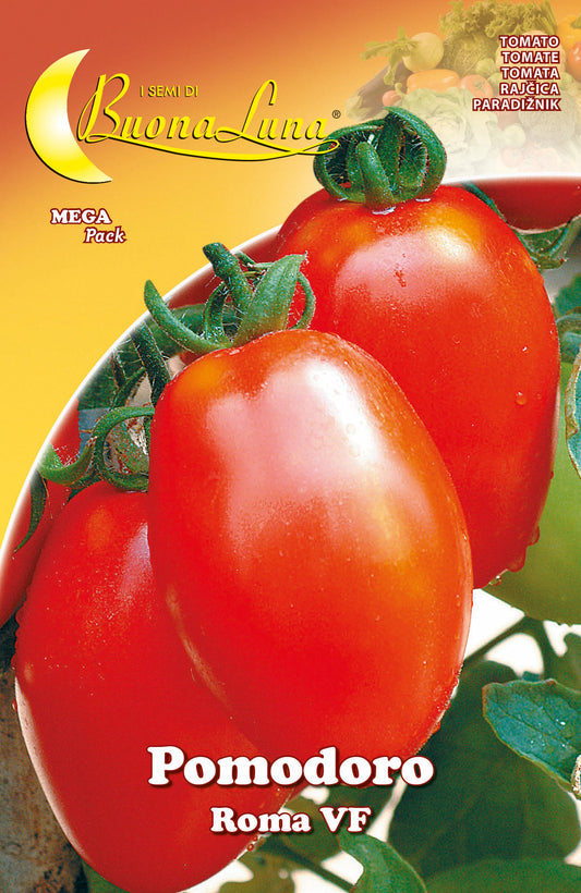 SEMI ORTO POMODORO ROMA