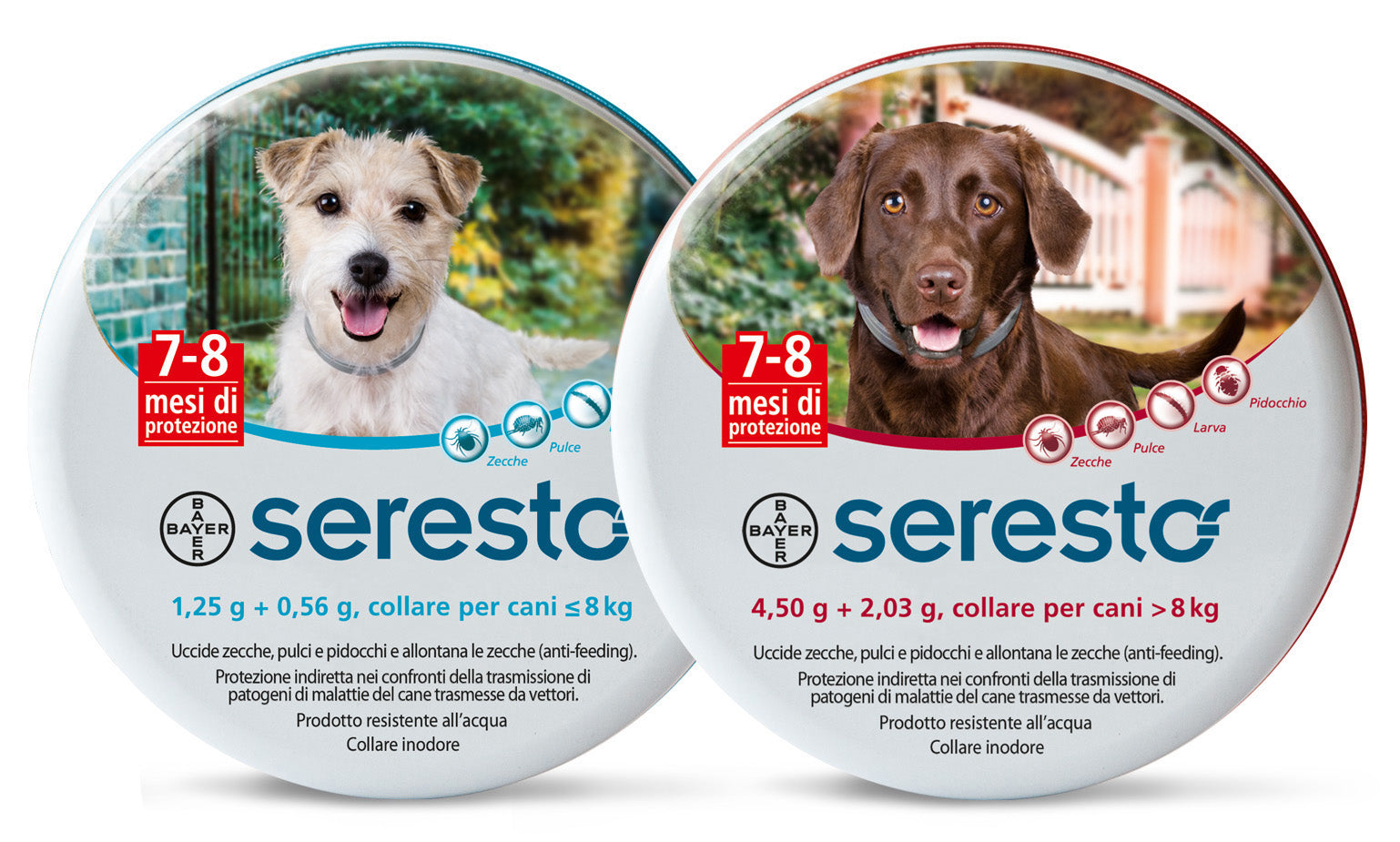 BAYER COLLARE CANE SERESTO 8 KG