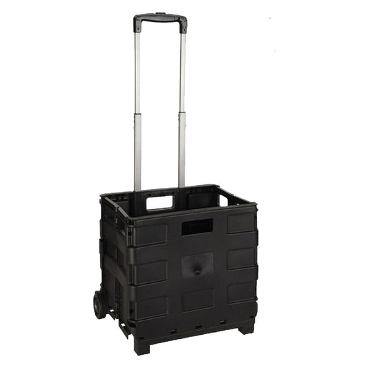 CARRELLO CESTA MULTIUSO PIEGHEVOLE portata 18 kg